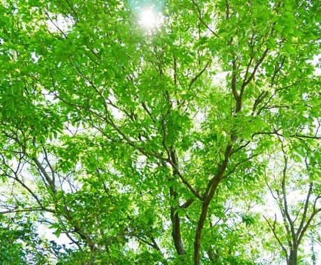 私はあなたの話す内容をもっと聞きたいと思っています 30分チャット✨雑談、愚痴、悩み相談、電話が苦手でも大丈夫！ イメージ2
