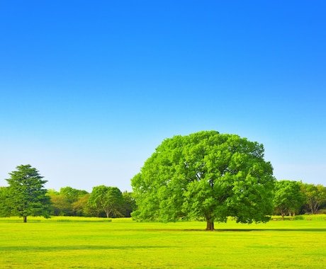あなたのすべてを受け止めて、全力で応援します まずはあなたの気持ちを吐き出してみませんか？ イメージ1