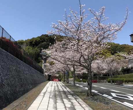 健康に関するコラムなどを書きます 健康や食事に関するコラムや文章をお書きします イメージ1