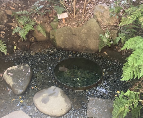 タロットでお悩み解決　恋愛・人生のヒントを届けます テーマに沿って質問を一緒に考えカードからの答えをお届けします イメージ1