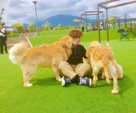 家庭犬訓練士がわんちゃんのお悩みを一緒に解決します 愛犬にストレスのかからないベストな方法をご提案致します。 イメージ1