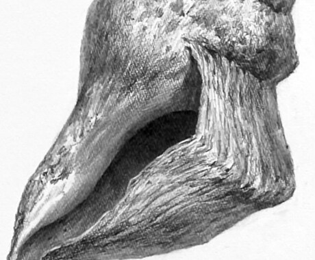 簡単なラフ案からハイクオリティのイラスト製作します 【文章や参考画像からあなたが欲しいイラストを製作】 イメージ2