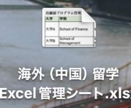 留学の出願、渡航のExcel管理表を販売いたします 実際に中国大学院留学で使ったシートのテンプレ版になります イメージ1