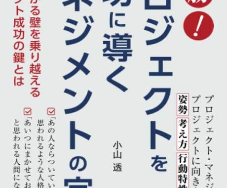 プロジェクト運営のお悩みやお困りごと相談承ります プロジェクト成功の鍵を元ソニーのPMOがわかりやすく伝授！ イメージ2