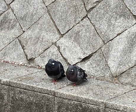 あなたの話、なんでも聴きます ただただ聞いてほしい！という方、話しませんか？ イメージ1