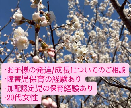 小さいお子様の発達についてのお悩みを伺います お子様の発達や成長に不安がある方の相談に乗ります イメージ1
