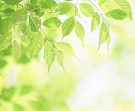 あなたのお悩み、即解決しますます 誰にも相談できない、そんな悩みがあれば気軽にお問い合わせを！ イメージ1