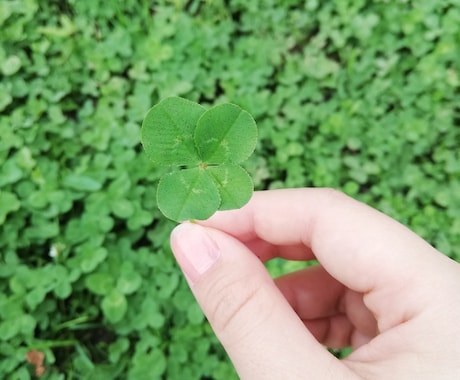 占いを人生に生かすコツを伝授します あなたらしい人生を幸せにするツールとして役に立つからです。 イメージ1