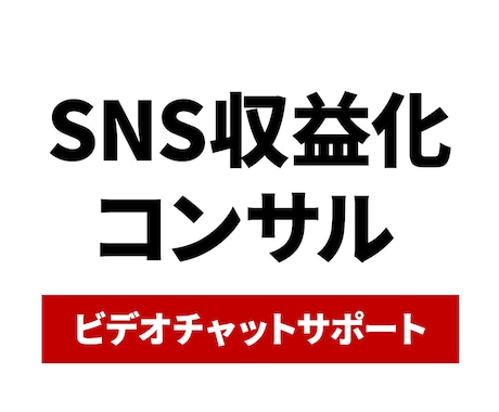 あなたの収益化をマンツーマンで徹底サポートします 【アカウント設計ご購入者様限定】ビデオチャットサポート イメージ1