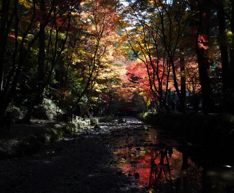 東海地方の風景、グルメ、建物の写真動画を提供します 旅行をしたいけどできない今だからこそ癒される写真を イメージ1