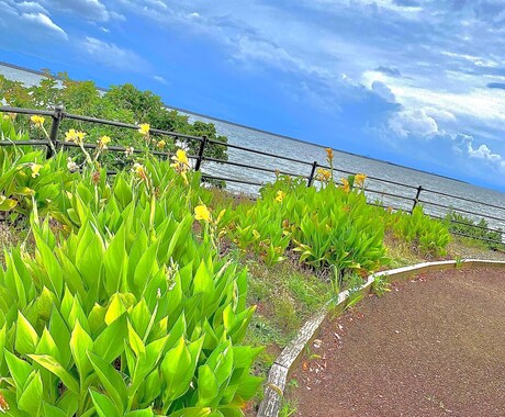 現高校生が500円から相談乗ります 現高校生だから共感できる！気軽にご相談しにきてください イメージ1