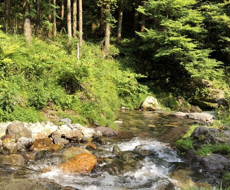 貴方の愚痴、お悩み聞きます 日頃頑張っている皆様の気分を軽くするために♪ イメージ2