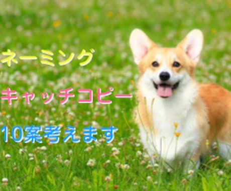 キャッチコピー【10案以上】考えます ココナラ復帰につき限定値下げ★現役コピーライターが考えます★ イメージ1