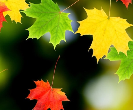 介護の愚痴 聴きます 介護歴14年 介護者にしか分からない現実に寄り添います！ イメージ1