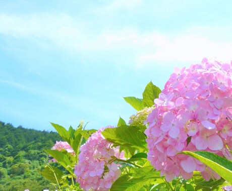 どんな愚痴でも聞きます ✨愚痴・相談・悩みなど周りに話せないこと聞かせてください イメージ1