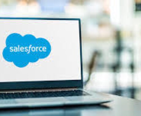 Salesforceカスタマイズします Salesforceを使いやすいように改善します。 イメージ1