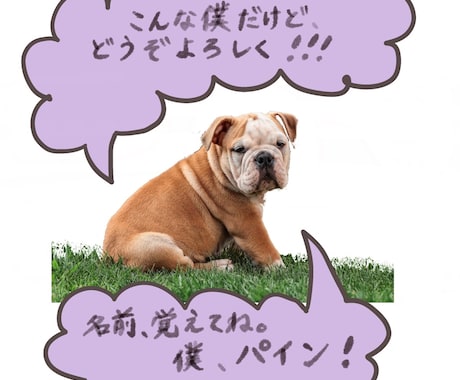 Instagram用！愛犬紹介メモレコ、作ります ◆愛すべき愛犬をInstagramで紹介しませんか？ イメージ1