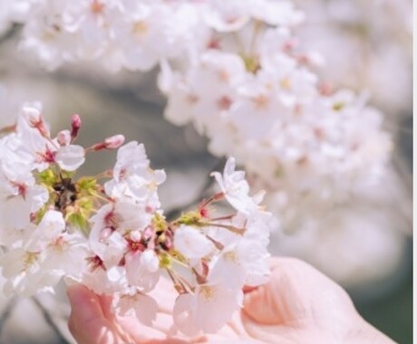 誰か聴いて〜を、ひたすら聞きます 誰かの幸せを祈るマヤ暦アドバイザー。 イメージ1