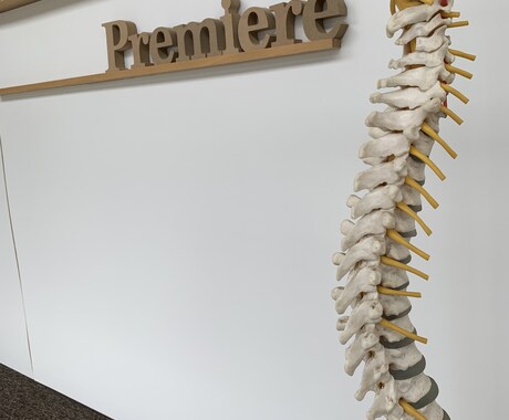 腰痛、肩こりなど症状改善の自己調整法を教えます 米国カイロ大学留学の知識と経験を元にアドバイス イメージ1