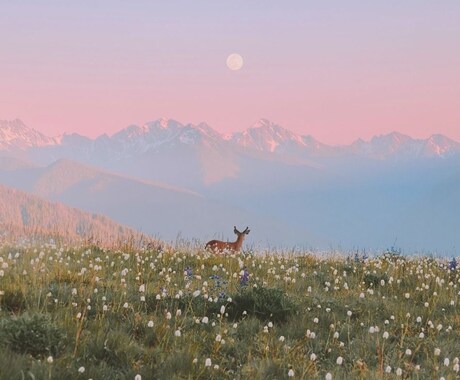 心がしんどいとき、そっと寄り添います 不安・孤独・心の疲れにそっと寄り添います イメージ1