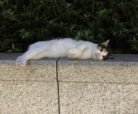 あなたの愚痴の吐きどころになります。ます 気持ちが楽になれるよう一生懸命あなたのお話しを聞きます。 イメージ2