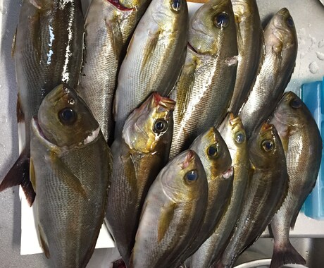 海釣りに行く事前準備のあれこれおしえます 海釣り全般の持ち物、天気の見方、おすすめの船宿など イメージ2