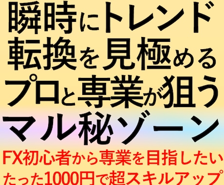 プロと専業が狙うFXの手法マル秘ゾーンを公開します 初心者でも専業プロ並みにトレンド転換を狙う方法の判断力を習得 イメージ1