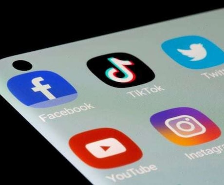 TikTok動画の企画〜投稿まで全て請け負います TikTok動画発信代行の専門家 イメージ1