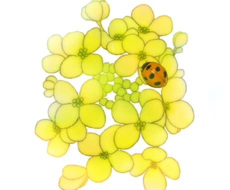イラスト・アイコンを描かせて頂きます 花や虫のイラストやデフォルメキャラのイラストを描きます イメージ2