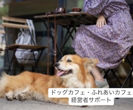 犬カフェ経営者のお悩みを解決します 犬の扱い方から犬と来客の関係性作りまで仕組み作りサポート！ イメージ1
