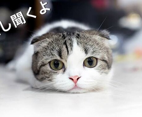 心の便利屋があなたの悩みを聞きます 人間関係や仕事、恋愛、家庭の愚痴や悩み心の便利屋でスッキリ イメージ1