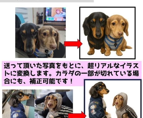 愛犬の写真からうちの子オリジナルミニタオル作ります 愛犬、愛猫、ペットのお写真からオリジナルのハンカチを作成 イメージ2