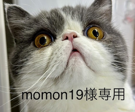 momon19様専用(サブスク1ヶ月)ます momon19様専用(サブスク1ヶ月) イメージ1