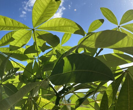 お疲れ様です☆一緒に萌え萌えキュンキュンします 一緒にキュンについて語りましょう☆なんでも待ってます☆ イメージ1