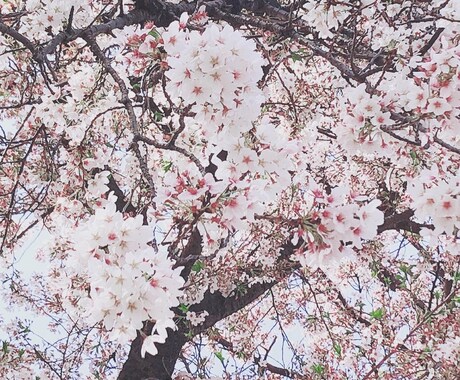 女性限定♡お電話で心とからだの解放をお手伝いします 心とからだからのメッセージを直感でお伝えします⭐︎ イメージ2