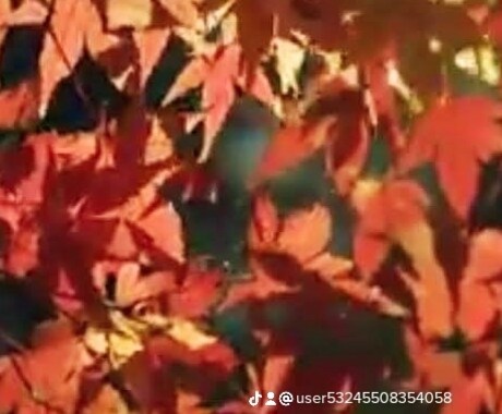 複雑恋愛を明るい未来へ導きます なかなか進まないあの人の本当の気持ちをお伝えします。 イメージ2