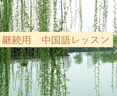 継続用　中国語レッスンをいたします 二回目以降のレッスン（継続用）は1500円/時間になります。 イメージ1