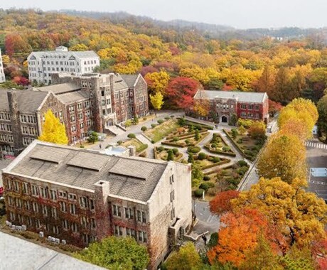 海外大学受験準備お手伝いします ✴︎海外大学受験と国内大学受験を両立させたい方に✴︎ イメージ1