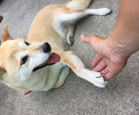 営業職の方の愚痴・相談何でも聞きます 皆さんお疲れ様です！日々のストレスを私にぶつけてください！ イメージ2