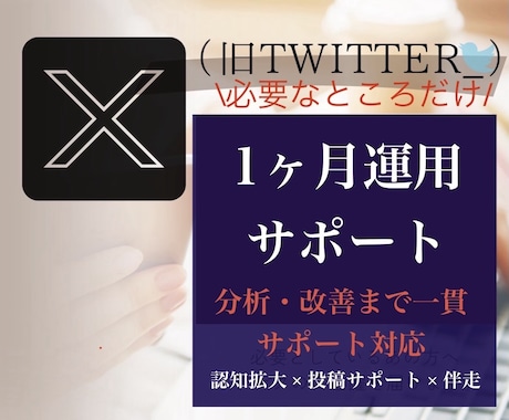 X認知拡大＋投稿｜1ヶ月運用改善まで伴走します 予算に合わせ運用サポート。認知拡大から投稿改善まで柔軟に対応 イメージ1