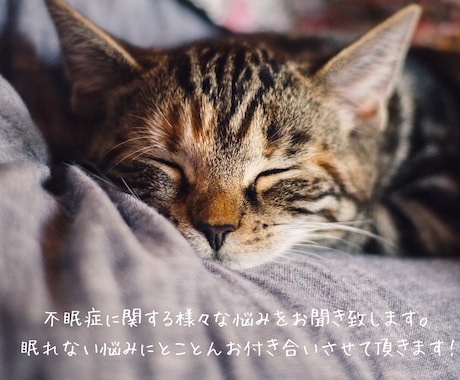 不眠症に関する様々な悩みをお聞きします 入眠障害、中途覚醒、早朝覚醒、睡眠薬、疲れが取れないなど イメージ1