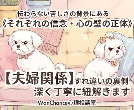 すれ違いの裏側【夫婦関係】深く丁寧に紐解きます 伝わらない苦しさの背景にある《それぞれの信念・心の壁の正体》 イメージ1