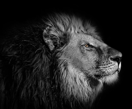 初回限定※神霊魔術で想い人の心を丸裸にします 禁断のグリモワール魔導書による導きで恋愛成就へ イメージ2