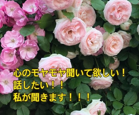 あなたの今の苦しみ私が受け止めます 最近モヤモヤして苦しい、話したい方のお話聞きます！ イメージ1