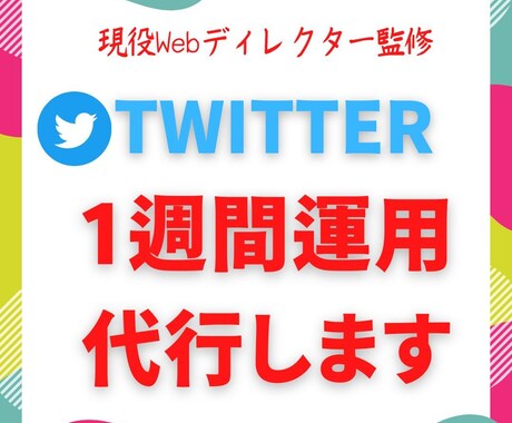 Twitter1週間 専門家で運用代行いたします 最適なtwitter運用からあなたの目的にコミットします! イメージ1