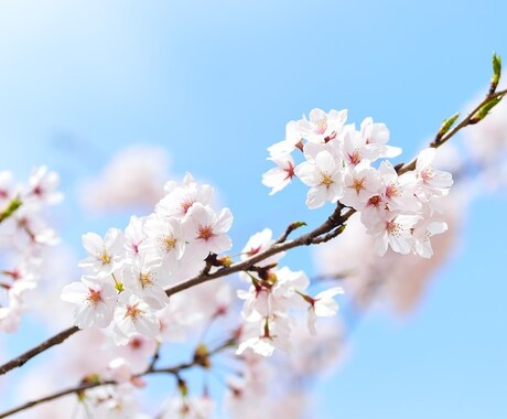 中学生のための内申点アップのコツ教えます ご家族全員で理解していただきたい、学校生活のコツです！！！ イメージ1