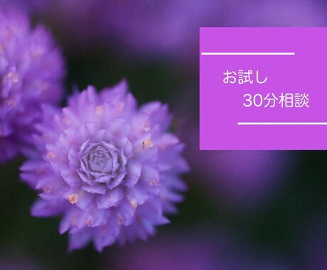 依頼前のお試し相談します 相談前のお試し短時間相談です。 イメージ1