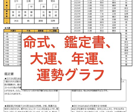 四柱推命で命式や鑑定書、運勢グラフをお出しします 命式、性格・本質等の鑑定書、大運、年運、運勢グラフ