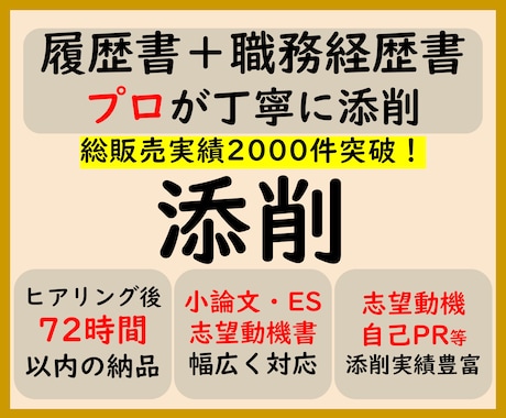 添削プラン　職務経歴書や応募文章をプロが添削します イメージ1