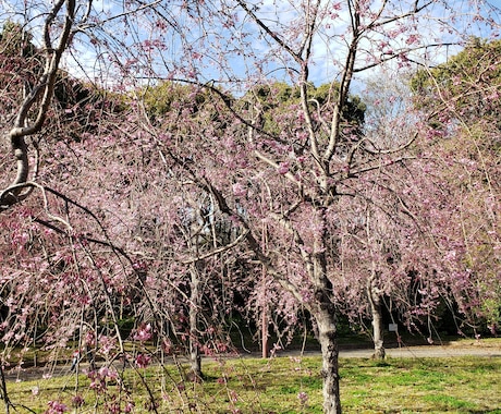 お試し30分間日頃の愚痴聞きます うまく話せなくてもぽつりぽつりからでも大丈夫話しましょう イメージ1
